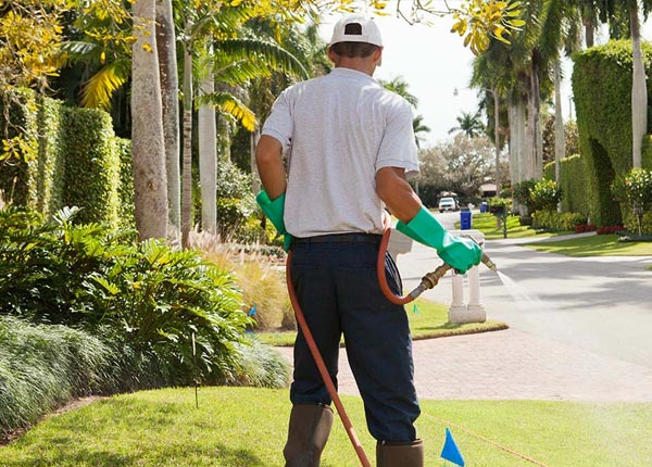 About Woodway TX Pest Control Pros